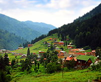 Doğa Harikası Trabzon Yollarında